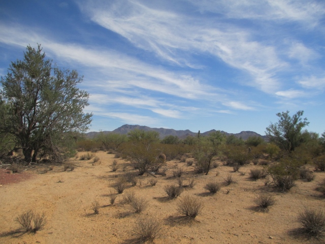 AM 2013 120 (640x480)